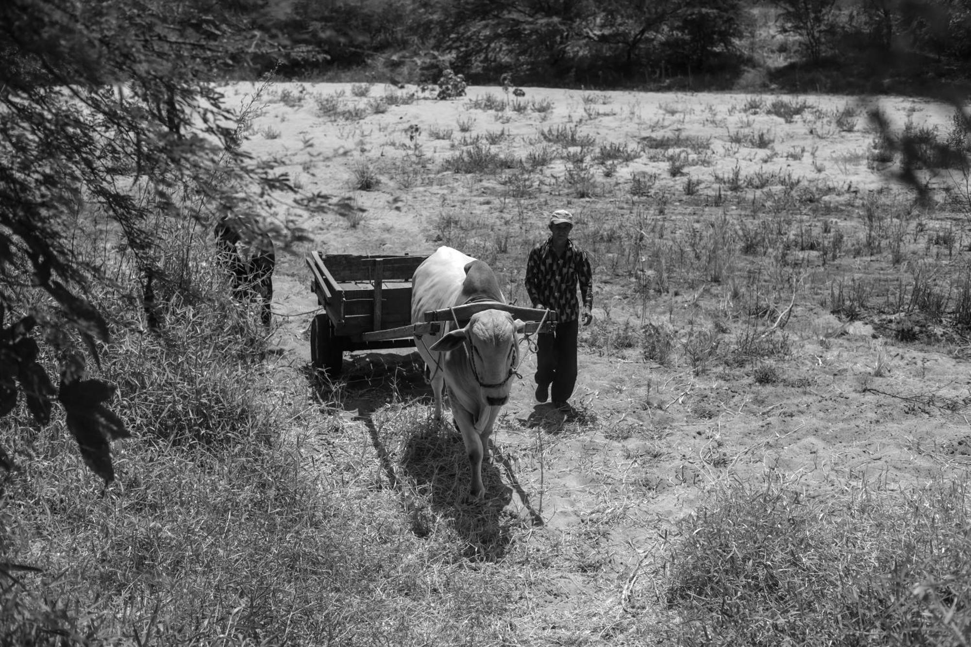 Fazenda Poco Das Pedras Sao Joao do Cariri Ngoại thất bức ảnh