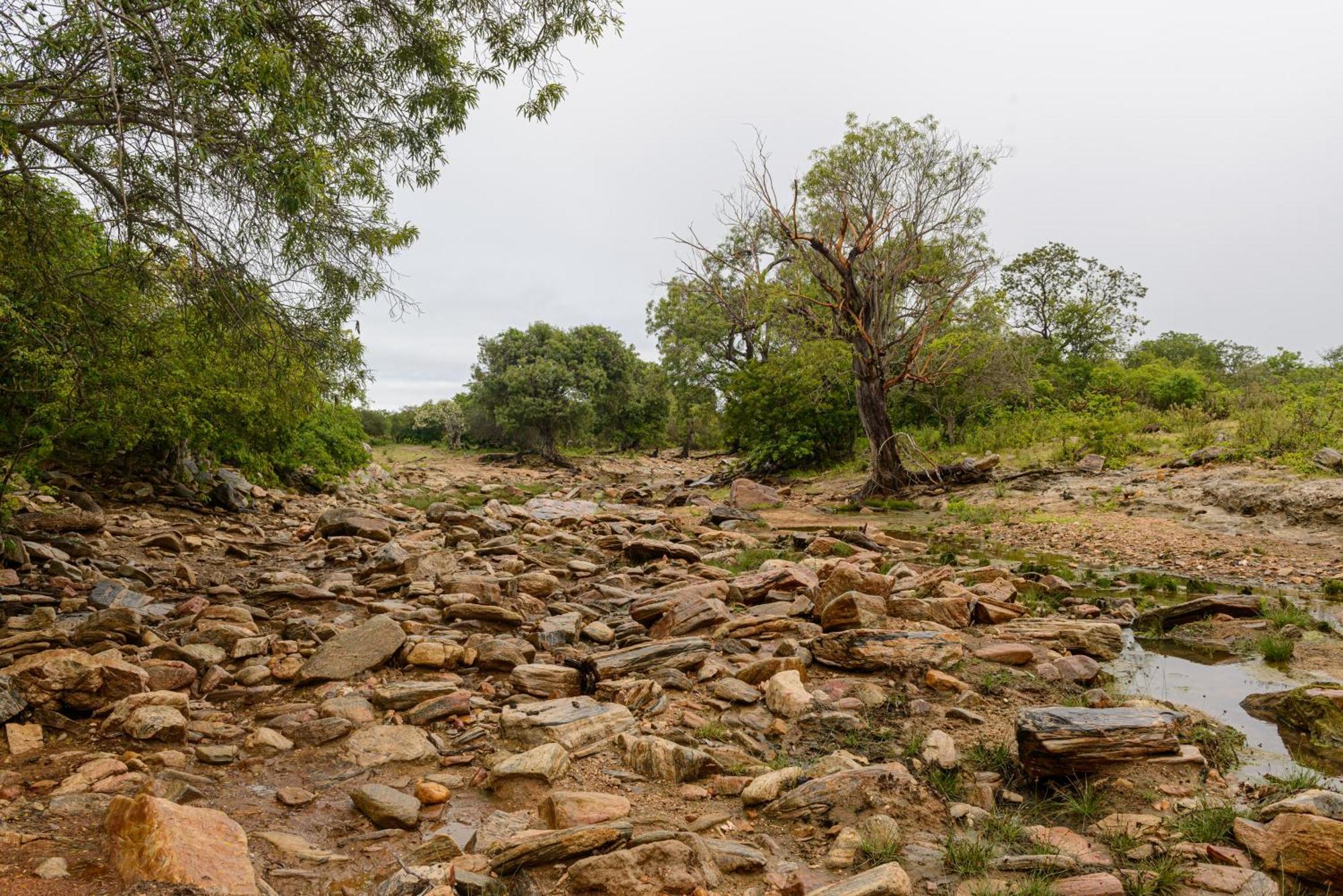 Fazenda Poco Das Pedras Sao Joao do Cariri Ngoại thất bức ảnh